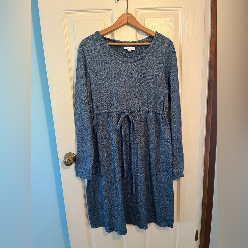 Liz Lange Maternity Blue Knit Dress with Ties